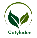 Cotyledon