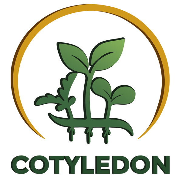 Cotyledon