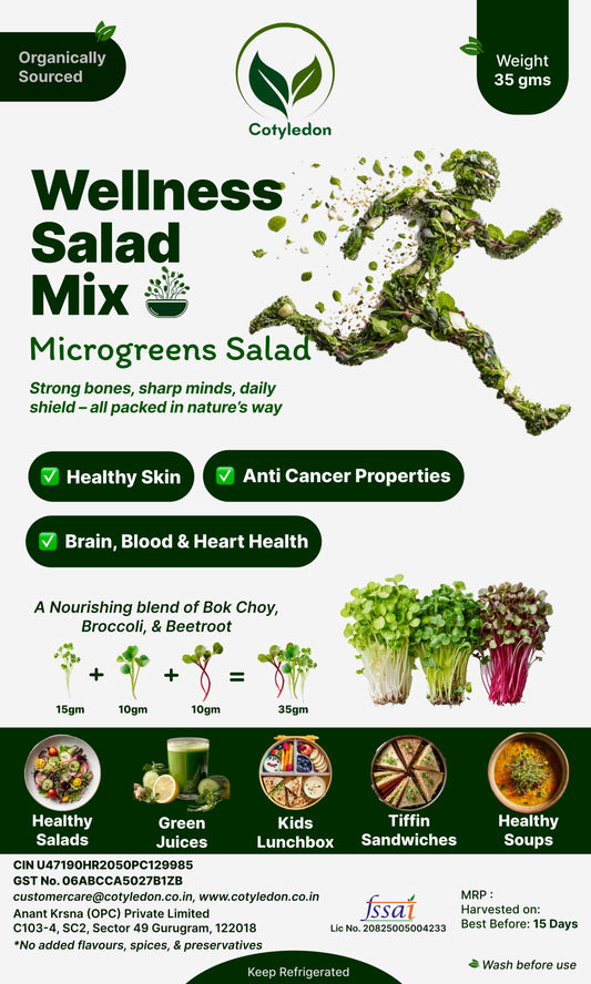 Wellness Salad Mix